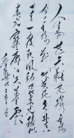毛泽东诗
